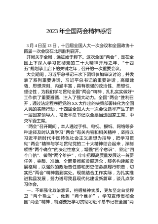 2023年全国两会精神感悟