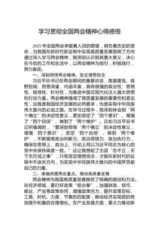 学习贯彻全国两会精神心得感悟