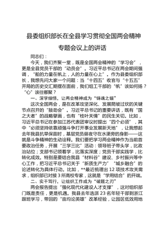 县委组织部长在全县学习贯彻全国两会精神专题会议上的讲话