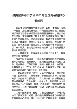 县委宣传部长学习2025年全国两会精神心得感悟