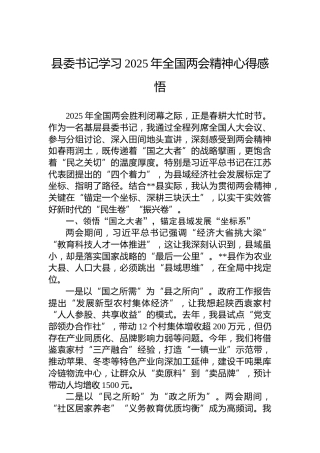 县委书记学习2025年全国两会精神心得感悟