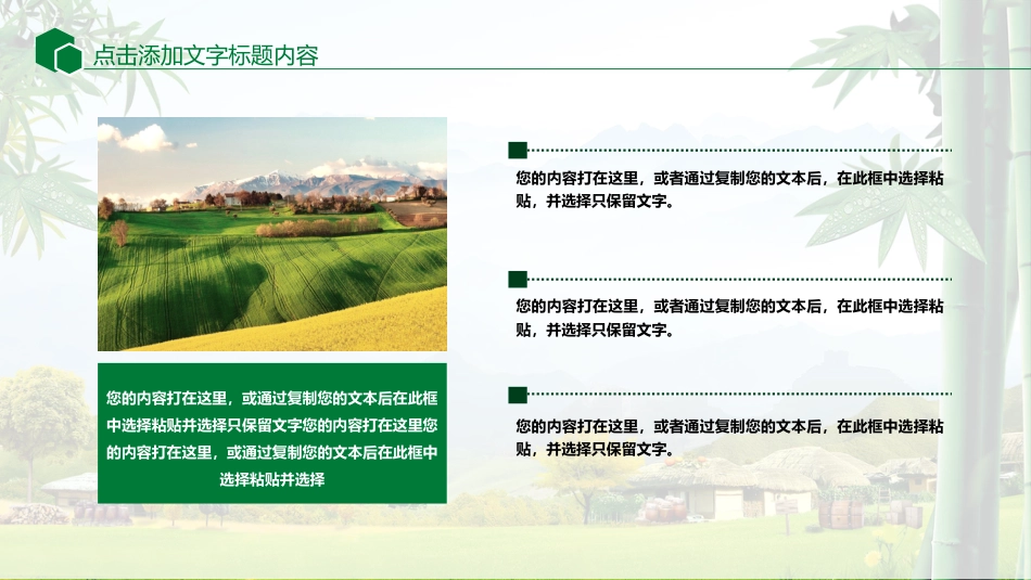 生态乡村旅游服务旅行体验生活游PPT模版（20210812）_第4页