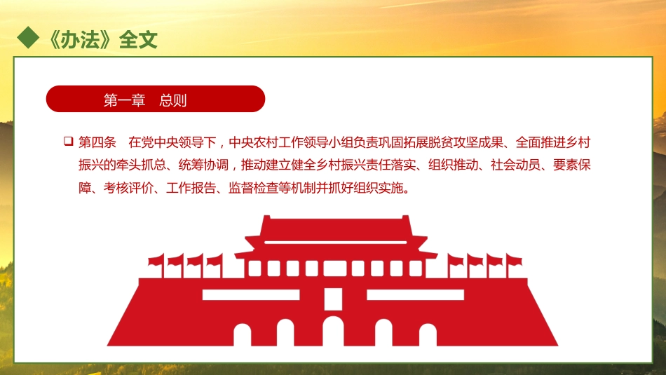 乡村振兴责任制实施办法PPT（20221230）_第6页