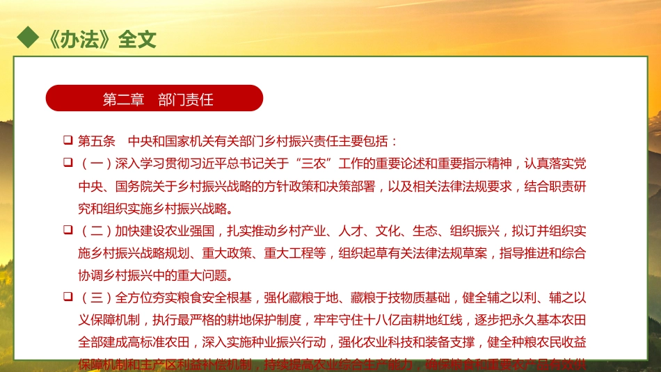 乡村振兴责任制实施办法PPT（20221230）_第7页