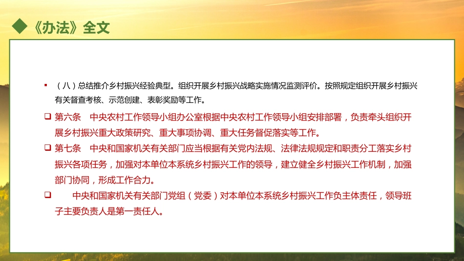 乡村振兴责任制实施办法PPT（20221230）_第9页