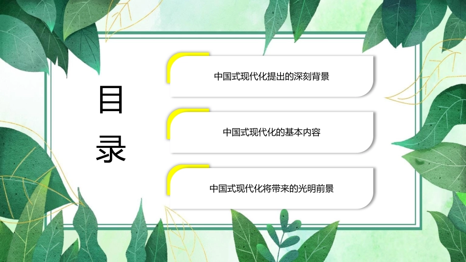 二十大报告宣讲党课讲稿：中国式现代化提出的深刻背景与光明前景（ppt）（盛会）_第3页