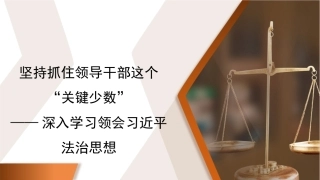 深入学习领会法治思想模板（ppt）
