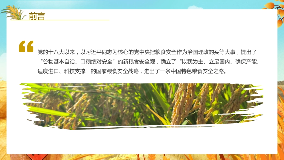 粮食安全党课讲稿：谈谈我国的新粮食安全（ppt）_第2页