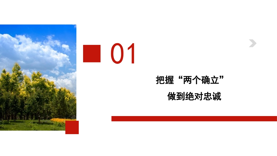 学习贯彻《谈治国理政》第四卷心得体会模板（ppt）_第5页