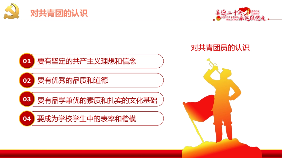 做新时代合格团员PPT_第8页