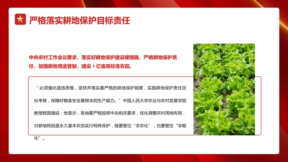 稳住农业基本盘+做好“三农”工作PPT（20220225）_第10页