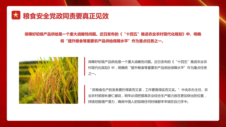 稳住农业基本盘+做好“三农”工作PPT（20220225）_第6页