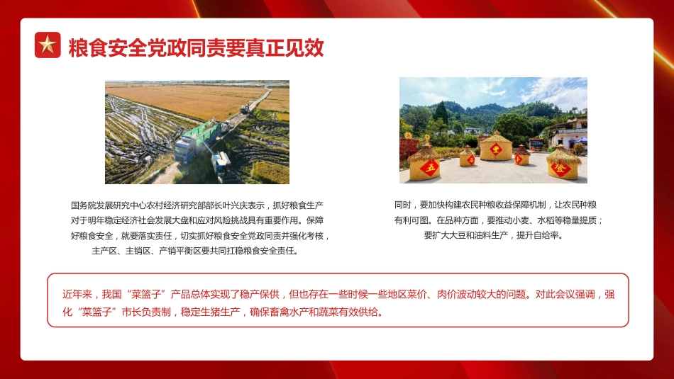 稳住农业基本盘+做好“三农”工作PPT（20220225）_第7页