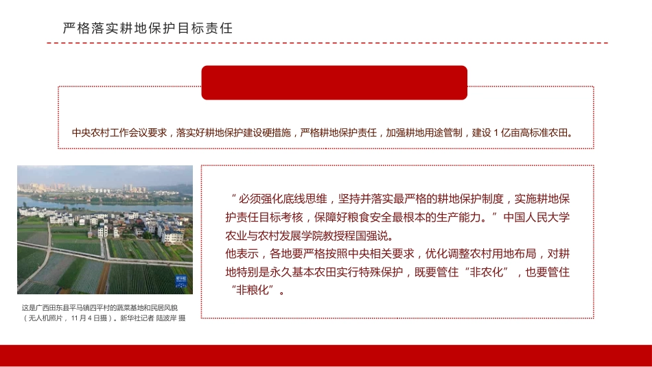 稳住农业基本盘做好三农工作PPT（20220111）_第10页