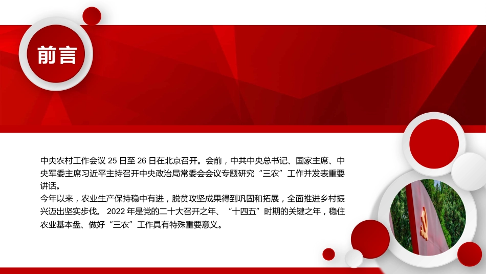 稳住农业基本盘做好三农工作PPT（20220111）_第2页