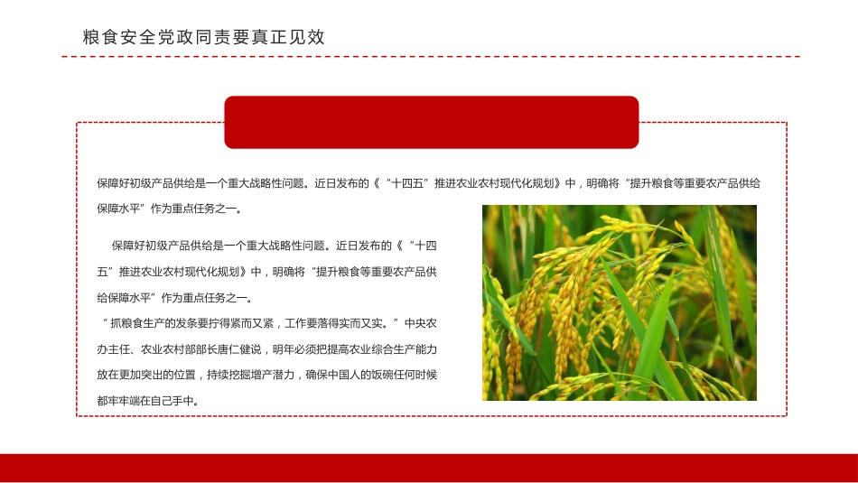 稳住农业基本盘做好三农工作PPT（20220111）_第6页