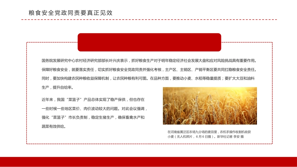 稳住农业基本盘做好三农工作PPT（20220111）_第7页