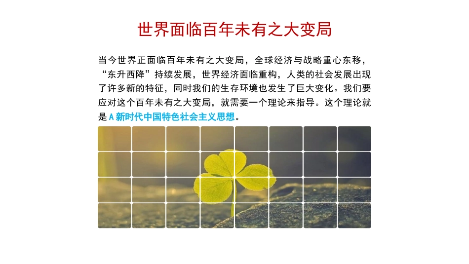 关于新时代中国特色社会主义思想产生的时代背景的思考（ppt）_第7页