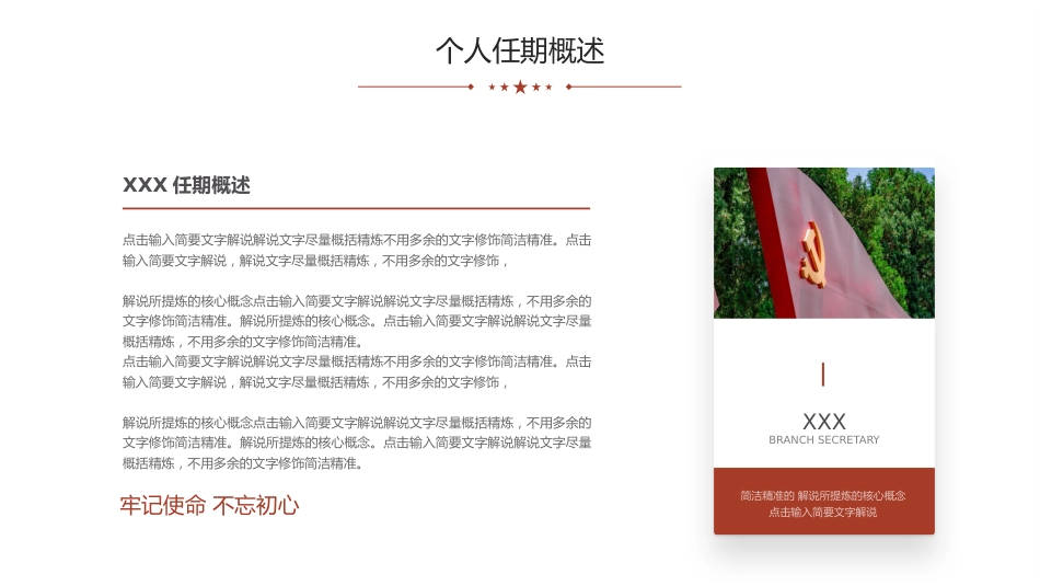 党支部书记述职报告PPT模板简约风格_第5页