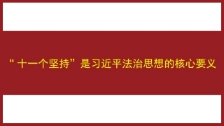 “十一个坚持”是习近平法治思想的核心要义（ppt）