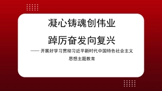 党内主题教育主题模板（ppt）