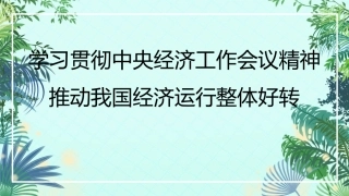 经济工作会议党课讲稿模板（ppt）