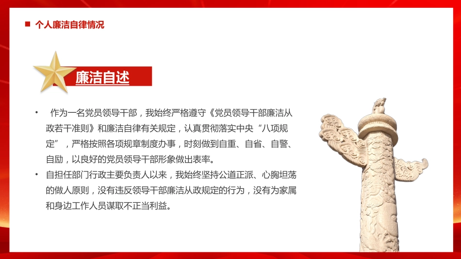 党支部述职述廉报告PPT模板_第5页