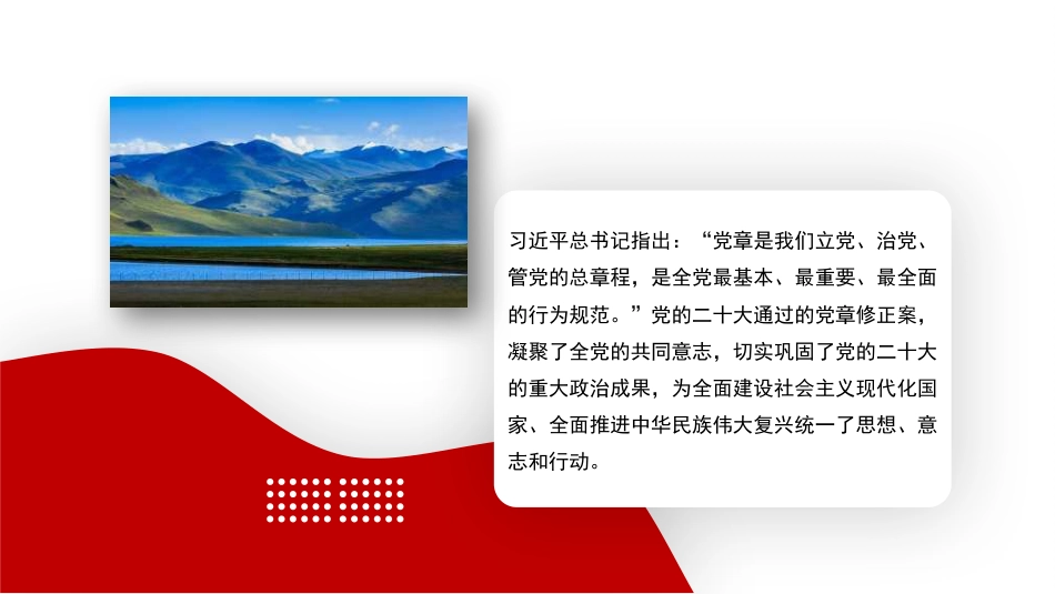 深刻认识把握党章的重要性（党纪学习教育）（PPT)_第9页