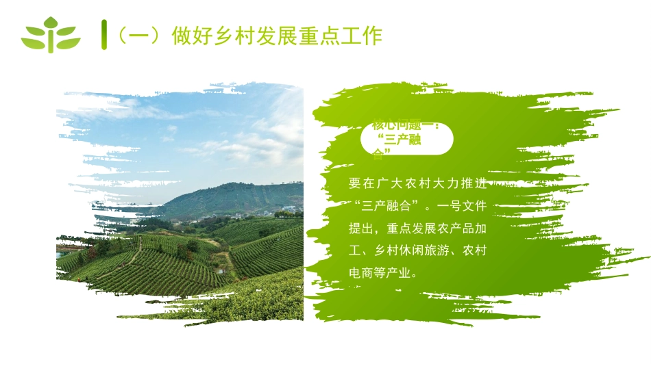 2022年一号文件精神解读模板“两条底线”与“三个重点”（PPT）_第10页