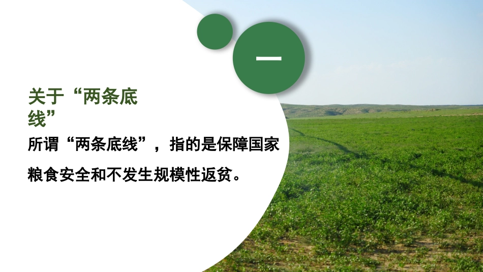 2022年一号文件精神解读模板“两条底线”与“三个重点”（PPT）_第2页