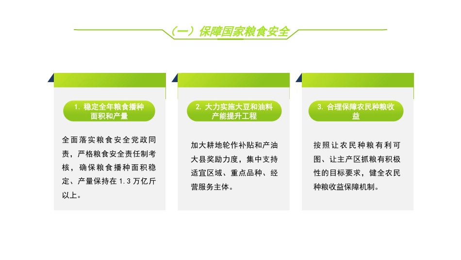 2022年一号文件精神解读模板“两条底线”与“三个重点”（PPT）_第4页