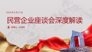 2025年民营企业座谈会深度解读PPT课件