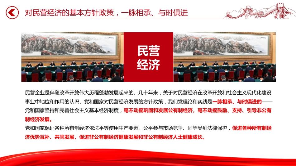 2025民营企业座谈会要点速览_第5页