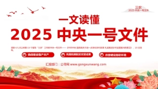 读懂2025中央一号党课ppt课件