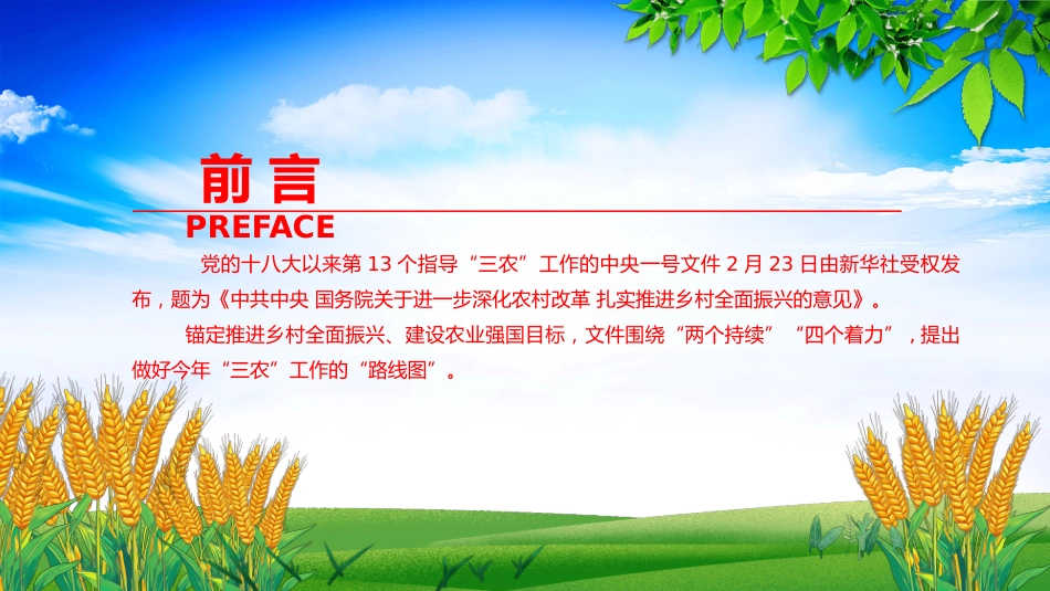 2025年三农工作这么干PPT中央一号文件要点_第2页