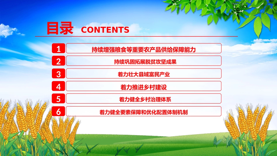 2025年三农工作这么干PPT中央一号文件要点_第3页