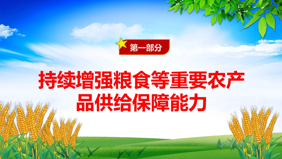 2025年三农工作这么干PPT中央一号文件要点_第4页