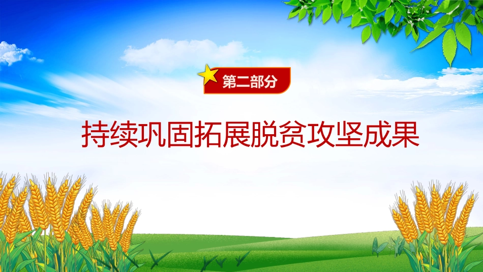 2025年三农工作这么干PPT中央一号文件要点_第6页