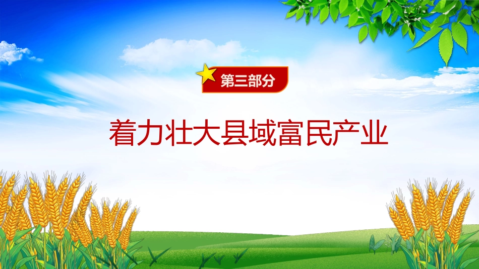 2025年三农工作这么干PPT中央一号文件要点_第8页