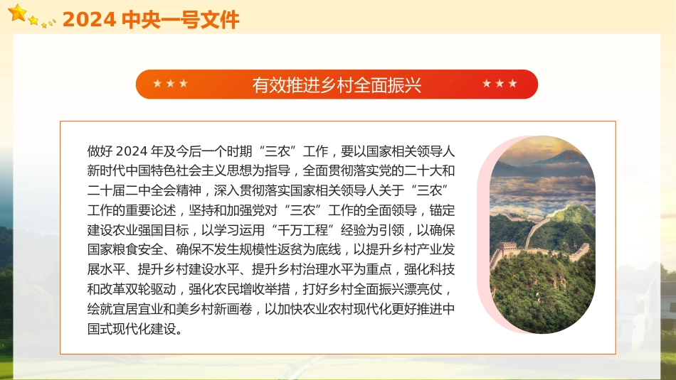 2024中央一号文件精神解读全民推进乡村振兴党政党建党课PPT_第5页