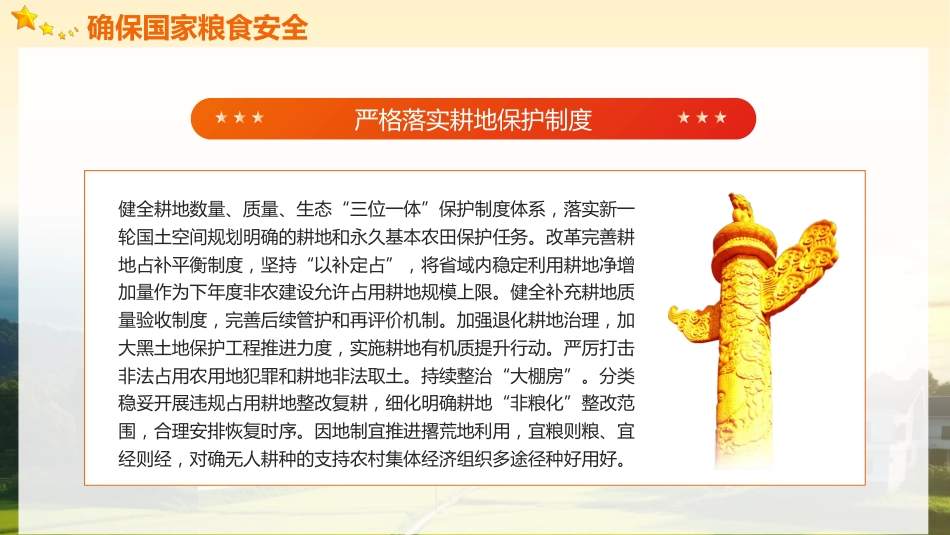 2024中央一号文件精神解读全民推进乡村振兴党政党建党课PPT_第8页