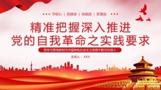 推进党的自我革命之实践要求党课教育课件PPT