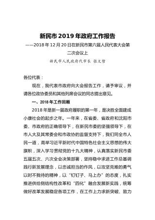 新民市2019年政府工作报告