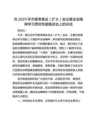 在2025年市委常委会（扩大）会议暨四中全会精神学习贯彻专题推进会上的讲话