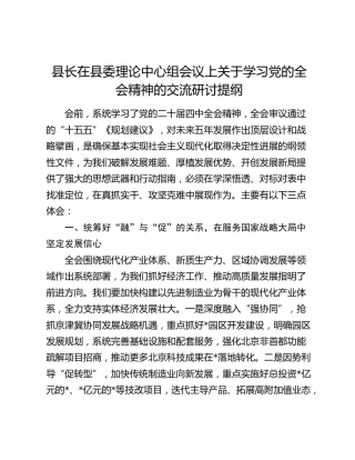 县长四中全会精神研讨发言