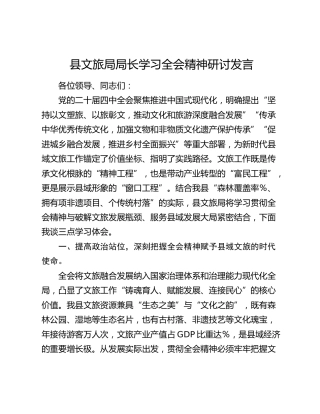 县文旅局局长学习四中全会精神研讨发言