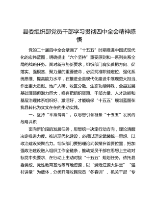 县委组织部学习贯彻四中全会精神感悟发言2