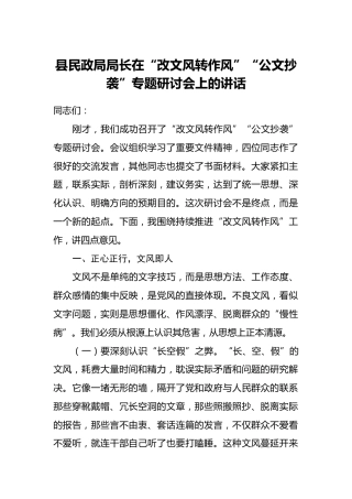 县民政局局长在“改文风转作风”“公文抄袭”专题研讨会上的讲话