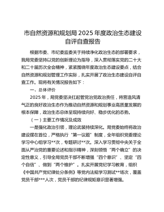 市自然资源和规划局2025年度政治生态建设自评自查报告