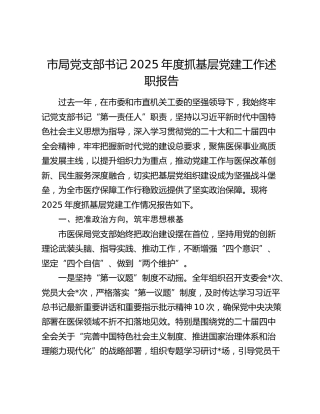 市局党支部书记2025年度抓基层党建工作述职报告
